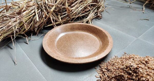 Agro Patra Eco-Friendly Plates